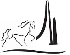 Paarl Equestrian Club 
