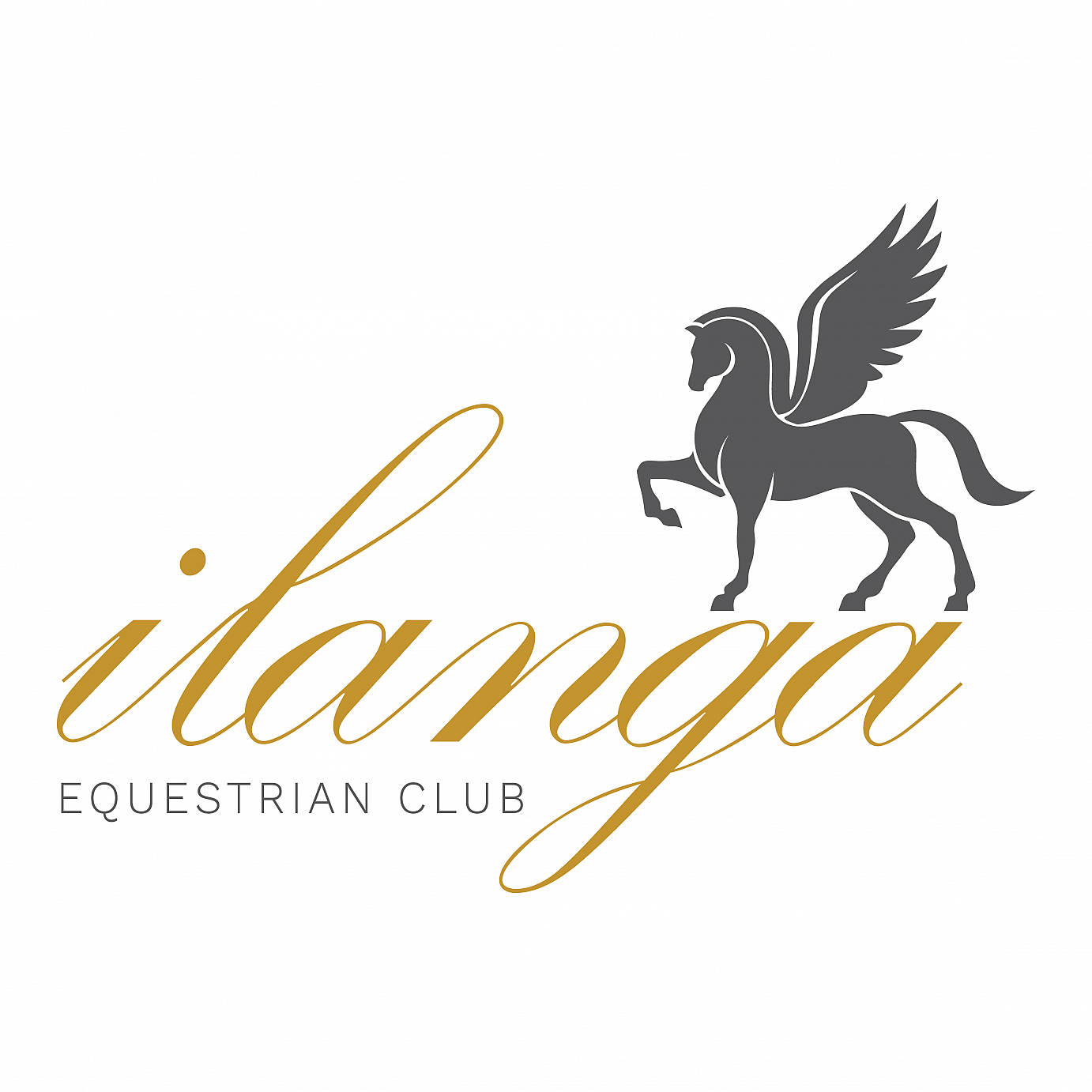 Ilanga Equestrian Club 
