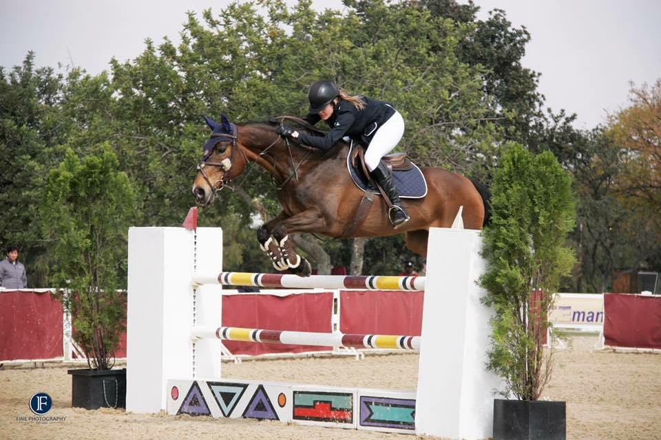 Ample Ideas Brandenburg Charisma