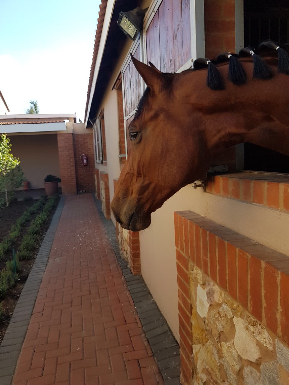 Biogen's Callaho Lord Cris