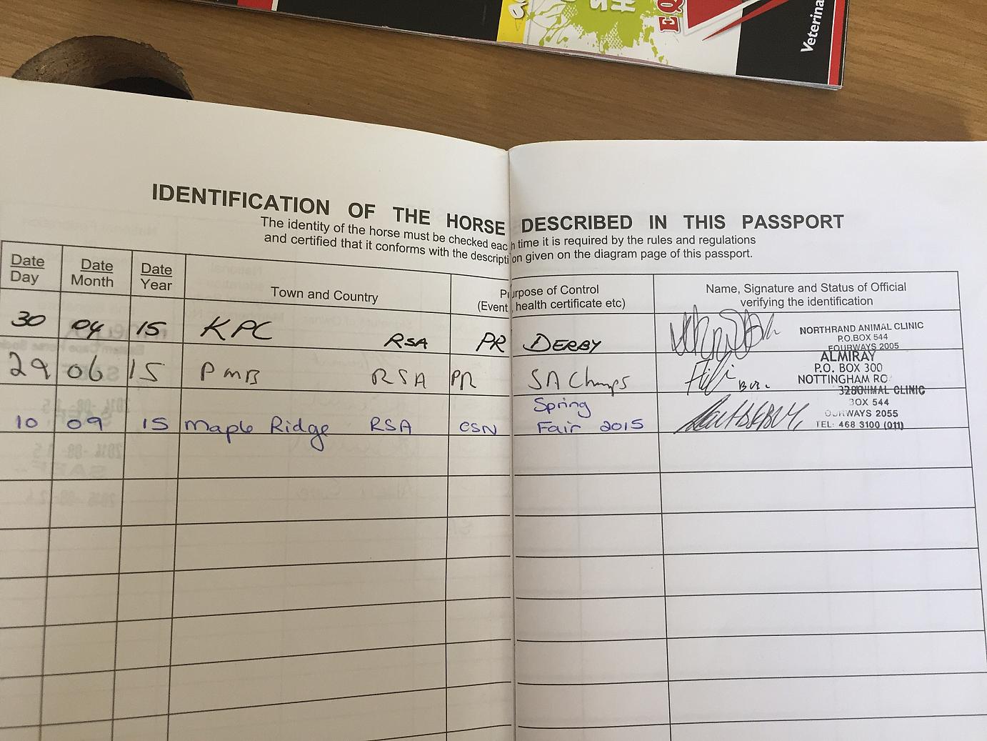 Agility Equine Therapy Tiara