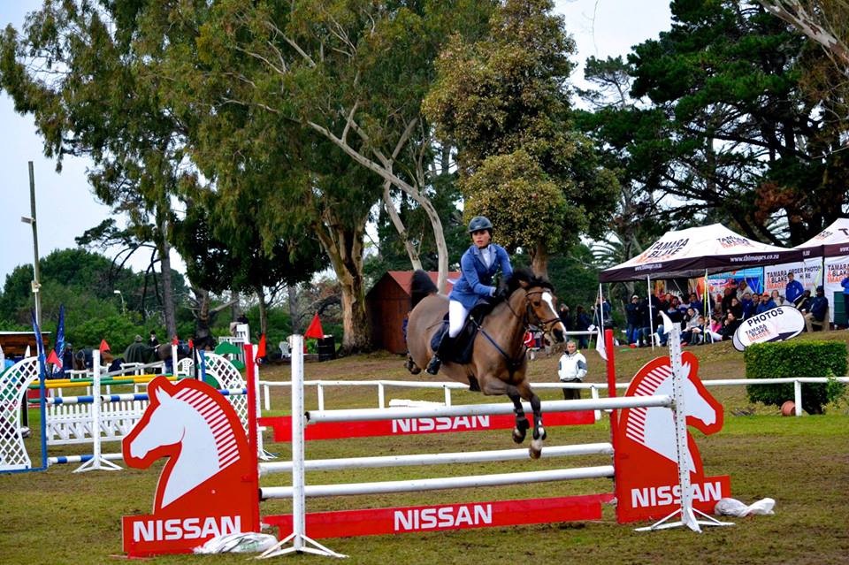 Kartouche van Stal Le Cheval