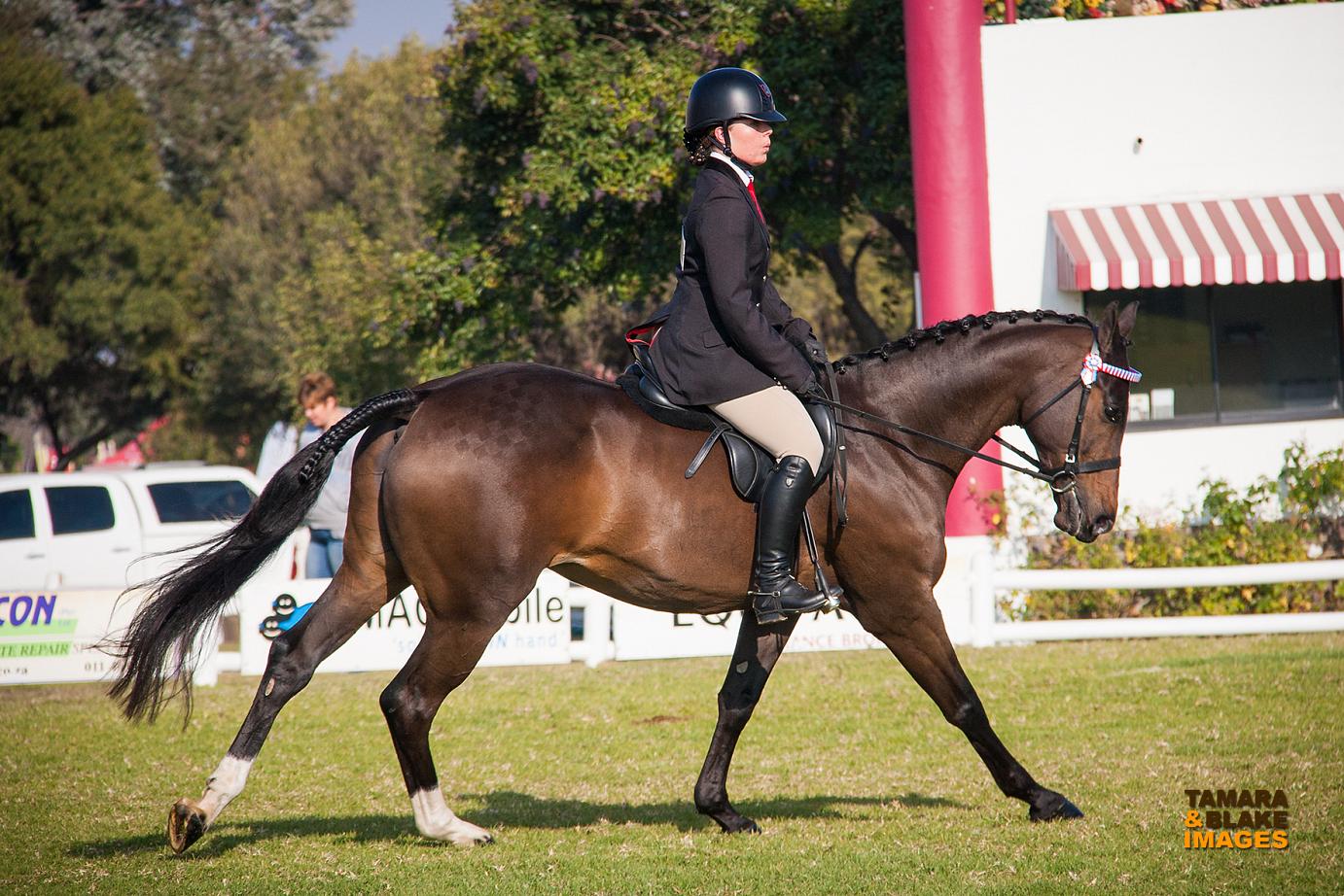 Surely Shiraz