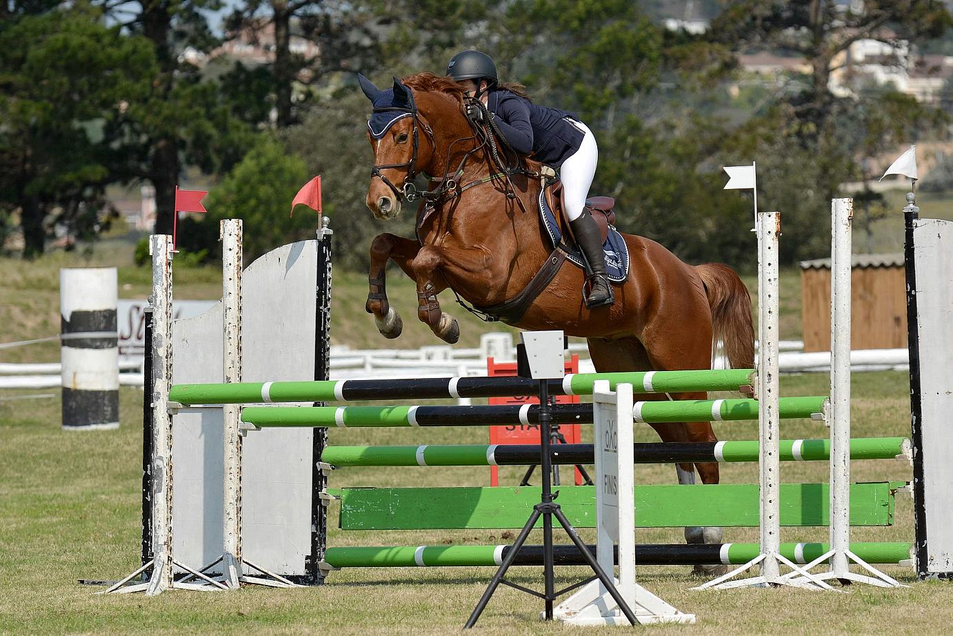 Blue Steele Equestrian Font Enca’s Boy