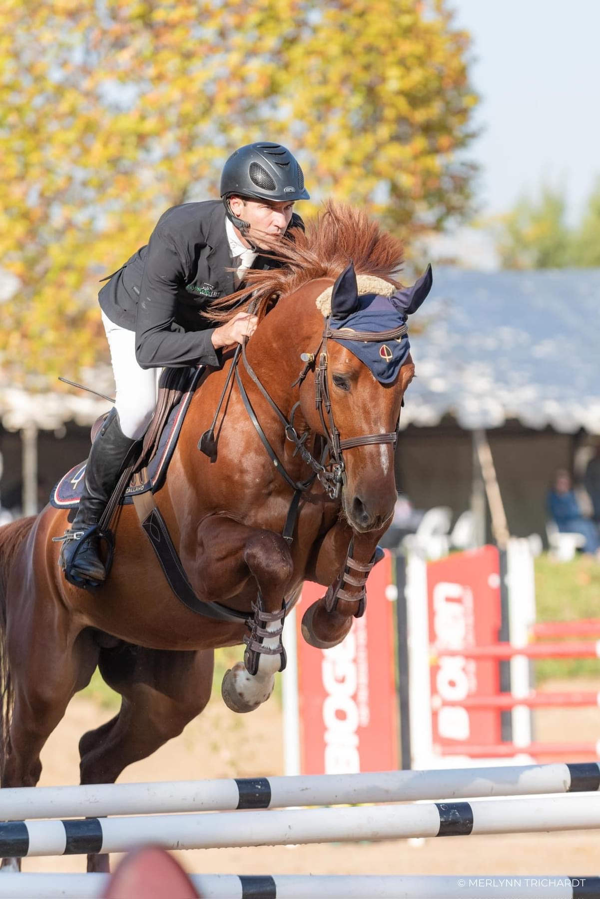 Callaho's Lord Luzius