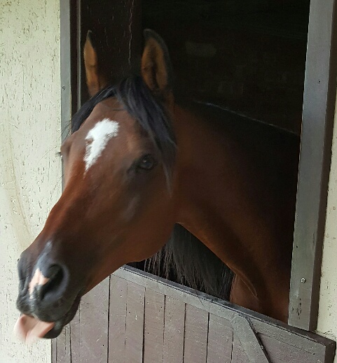 Impangele Kanna Asad