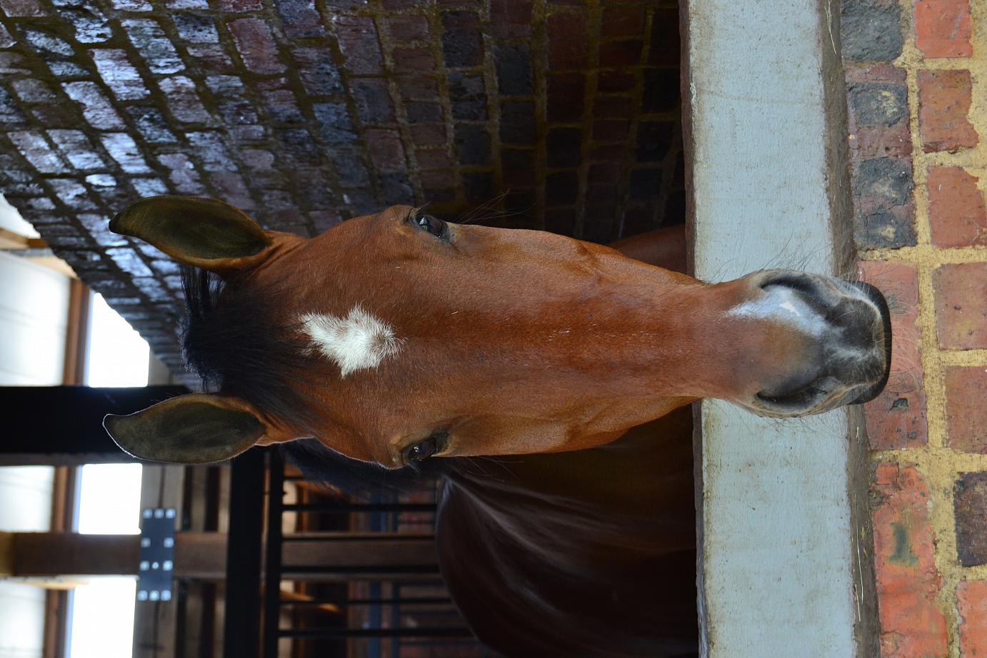 World Net Logistics Litana