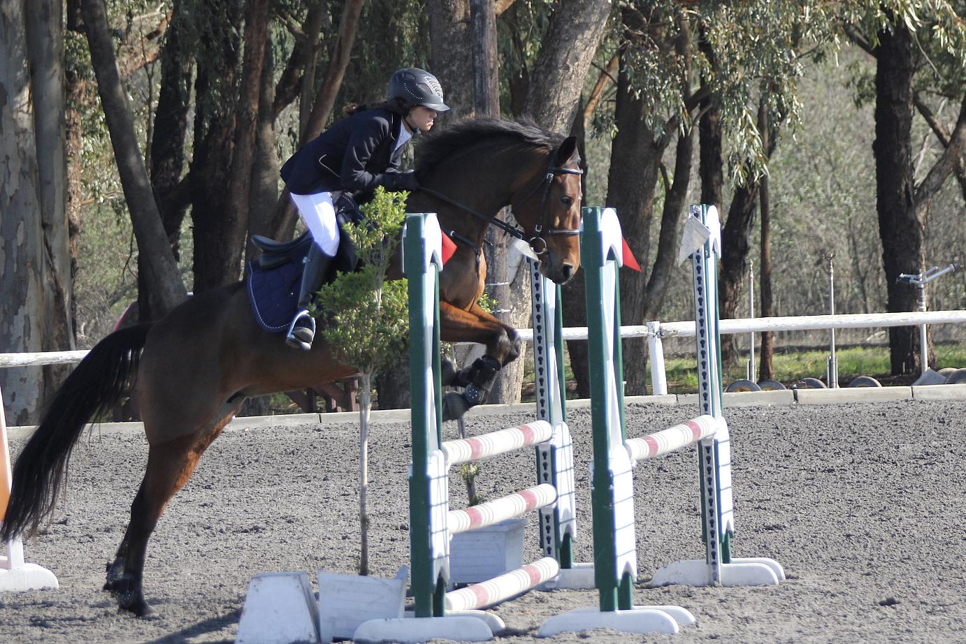 Kilshane Leap