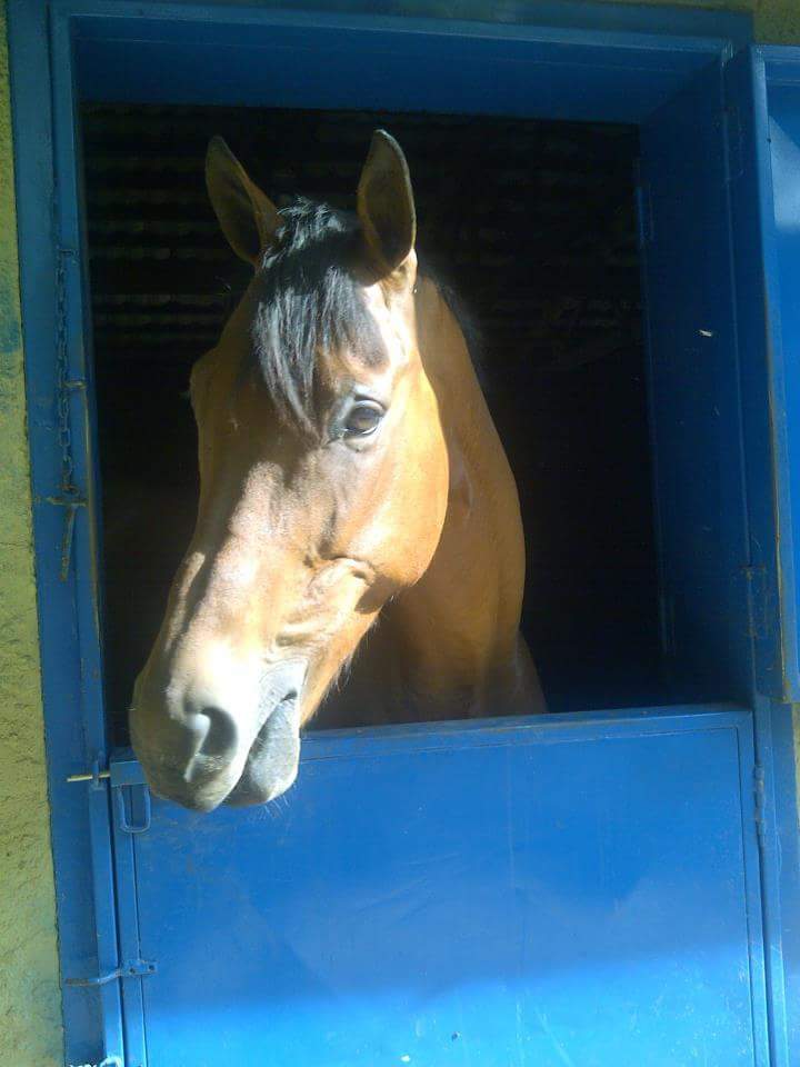 Hammond Pole Attorneys First Class