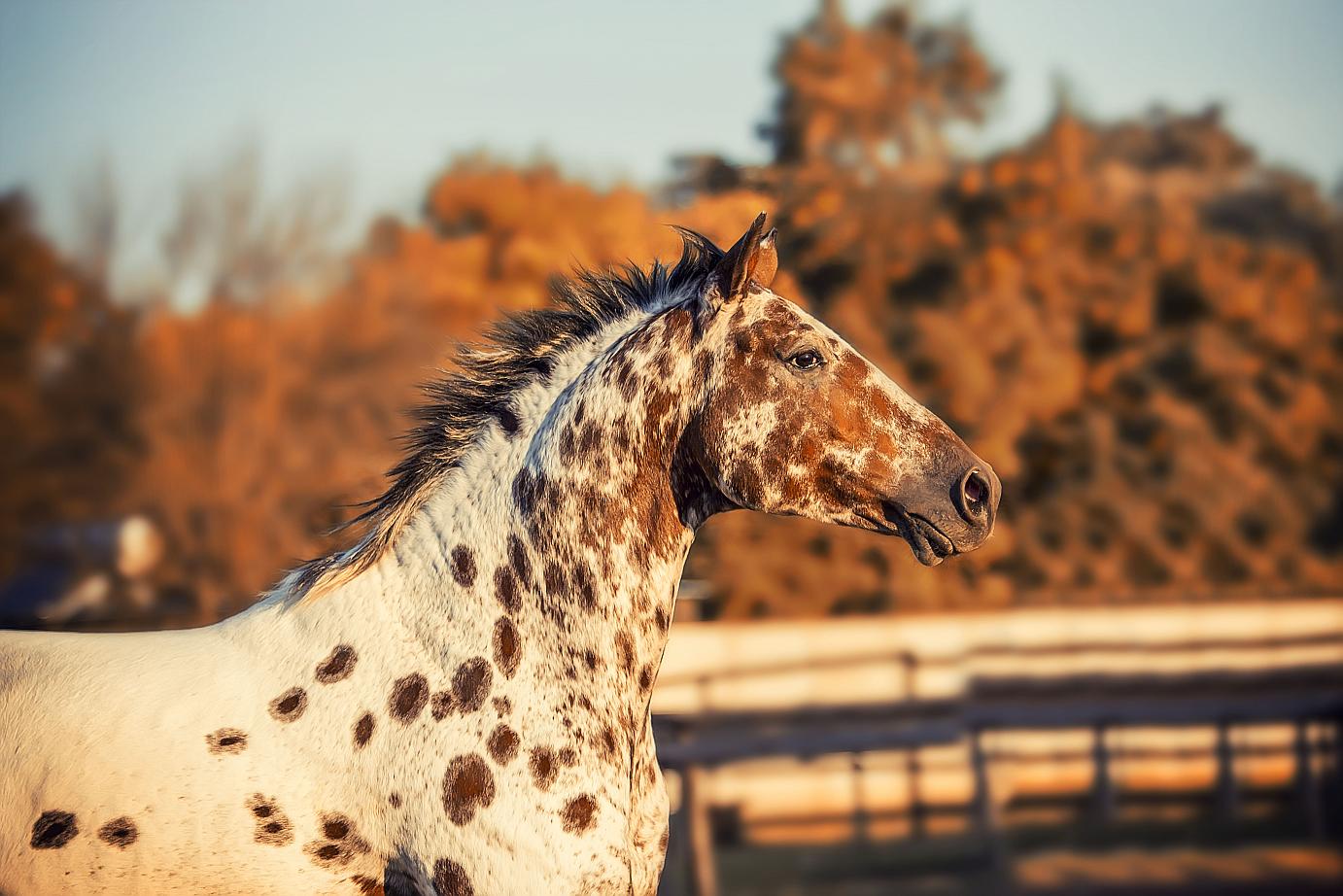 Blue sky spirit of vertigo