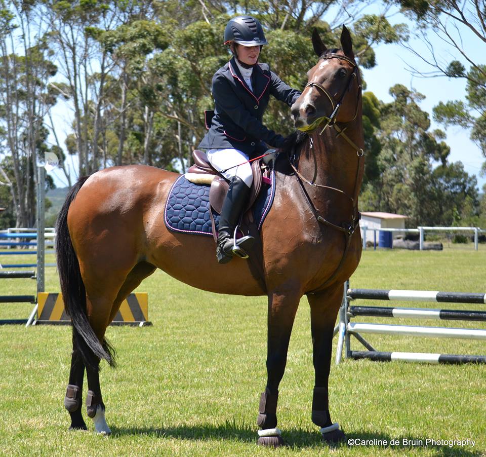 Duplicate Horse  34641