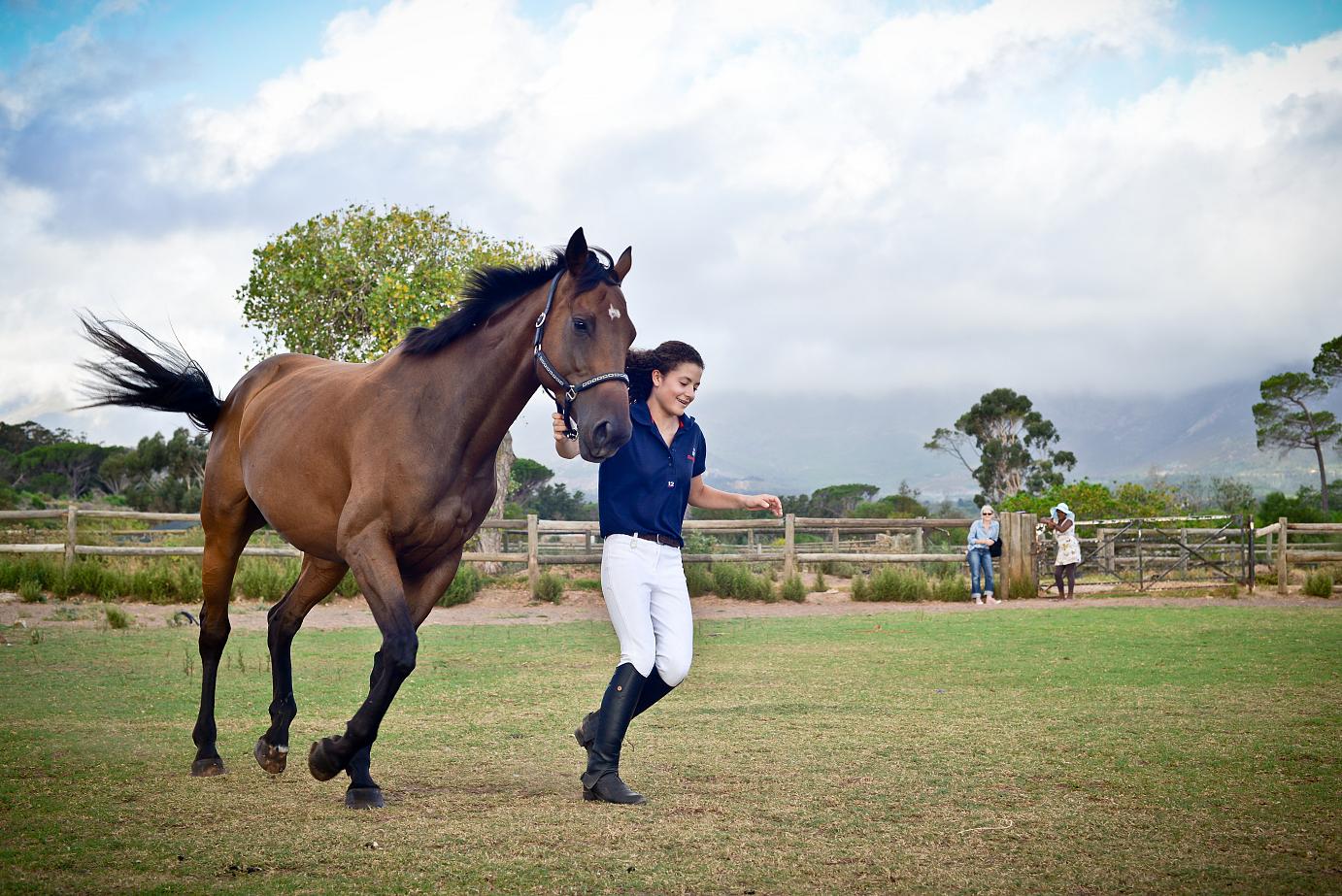 Sunny Park Persian Rose