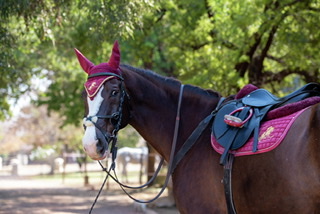 The Burgh's Callaho Lumos