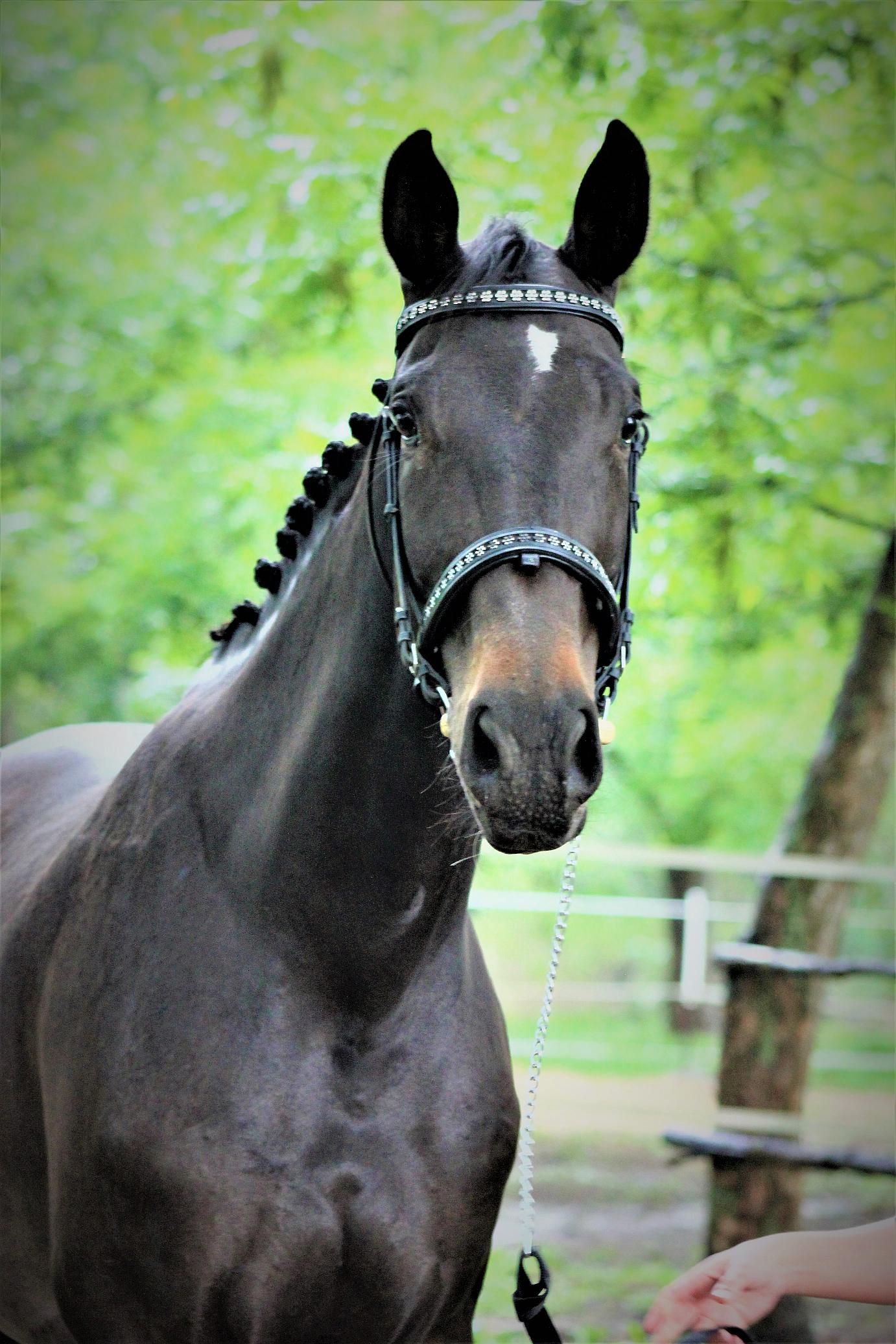 White Waters On Clouds of Time