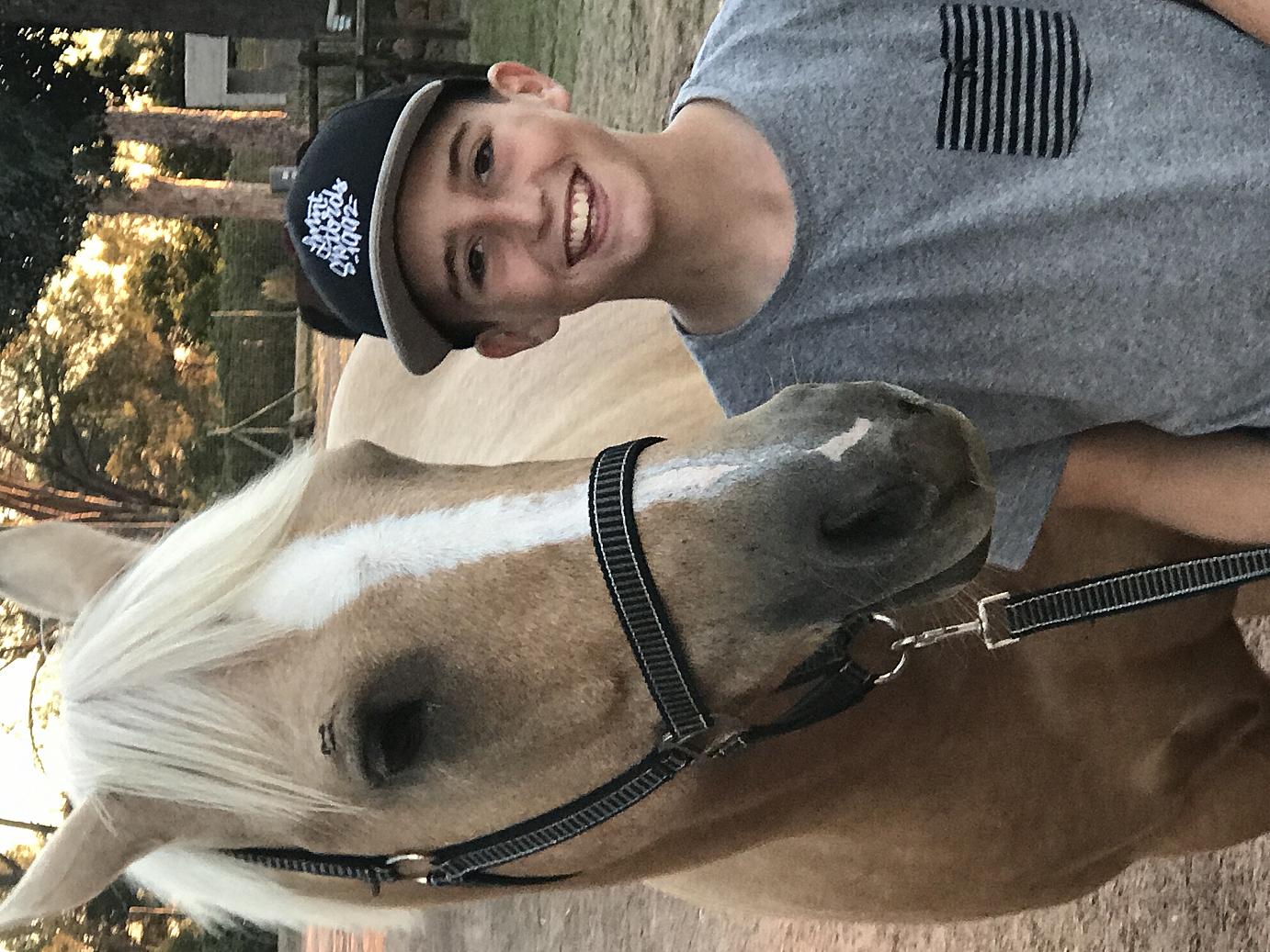 Bronwydd Bannut Juniper