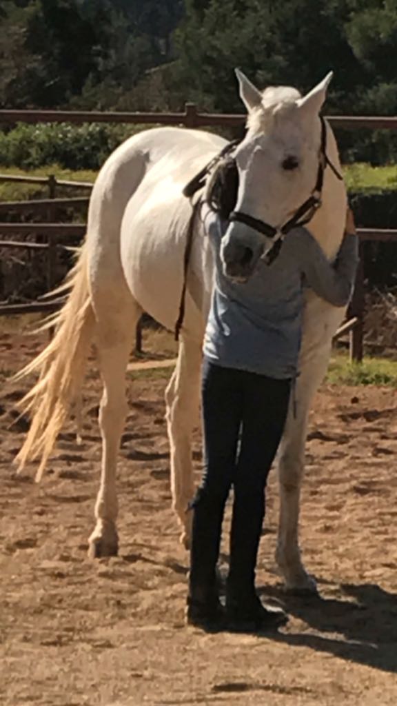 Waterside Red Velvet 