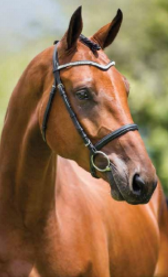 Callaho Contra Vella