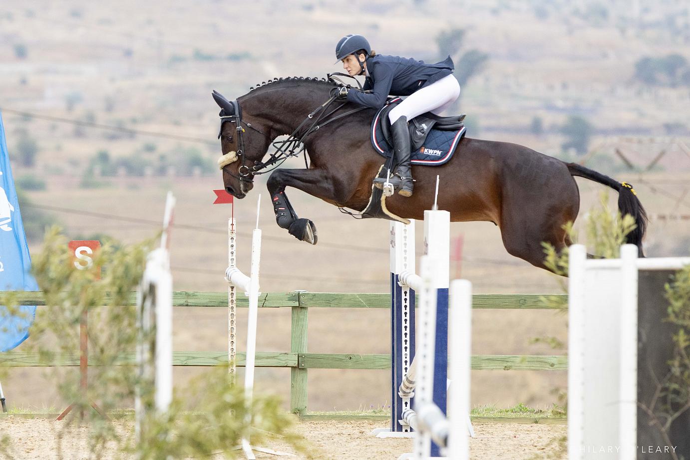 Supreme Equine Nutrition Geloven B. B.