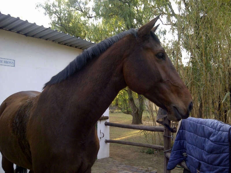 Brandenburg Living Legend