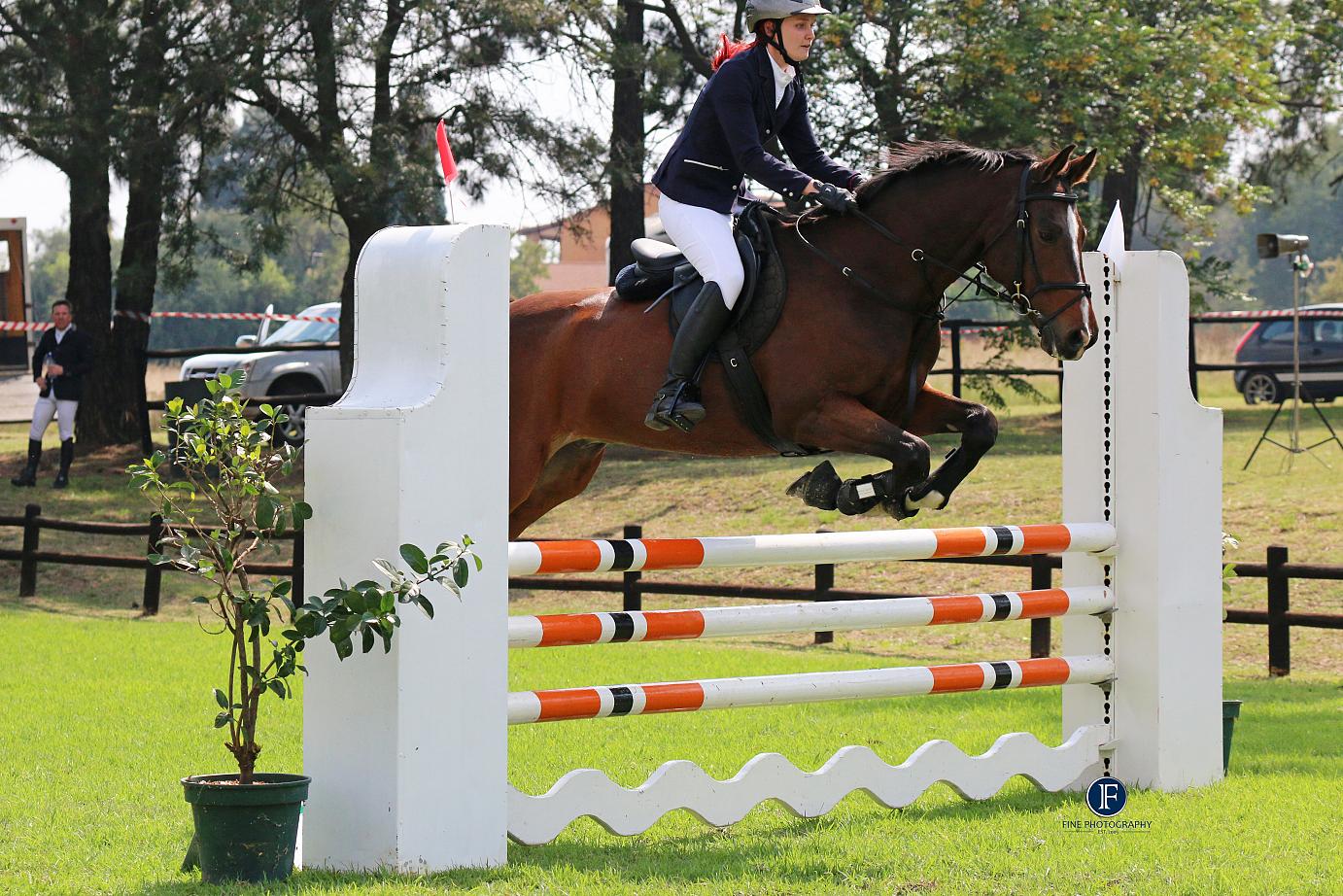 Branic Dauphin D'Or  (Deceased)