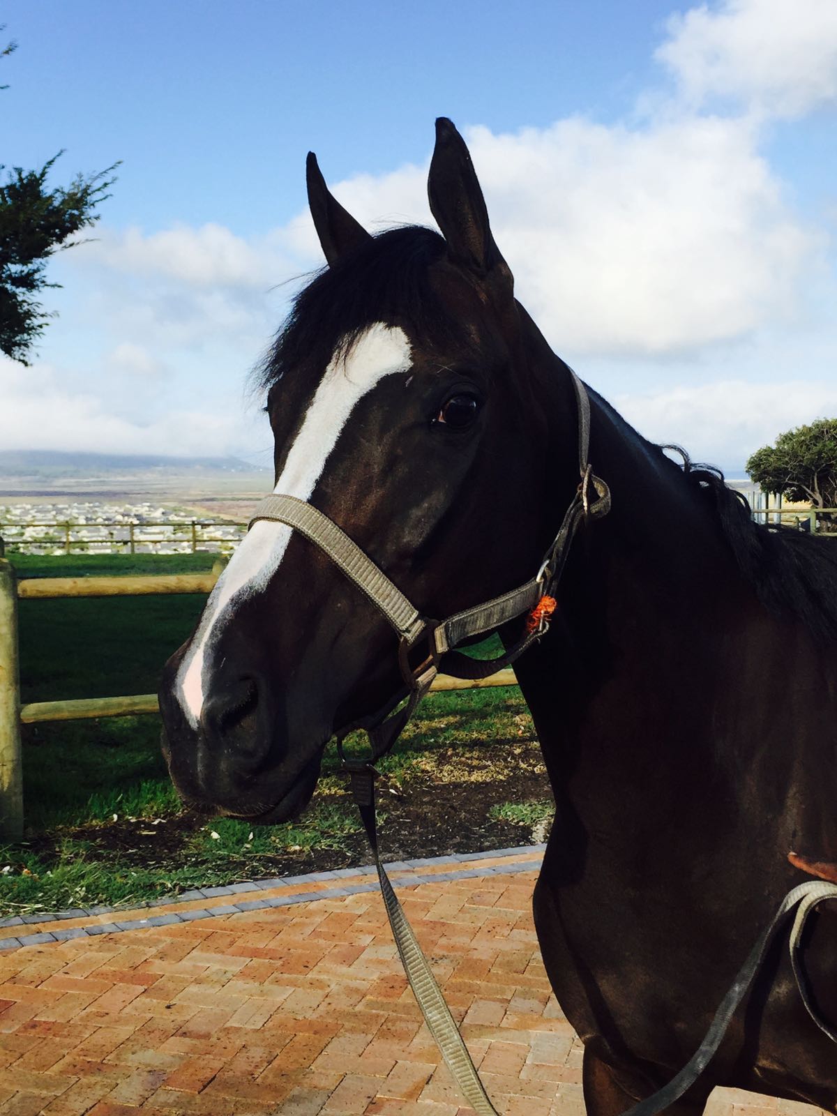 Cornerstone's Victoria Secret