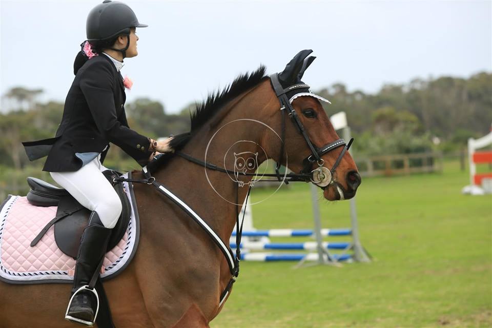 Pohlands What-A-Game