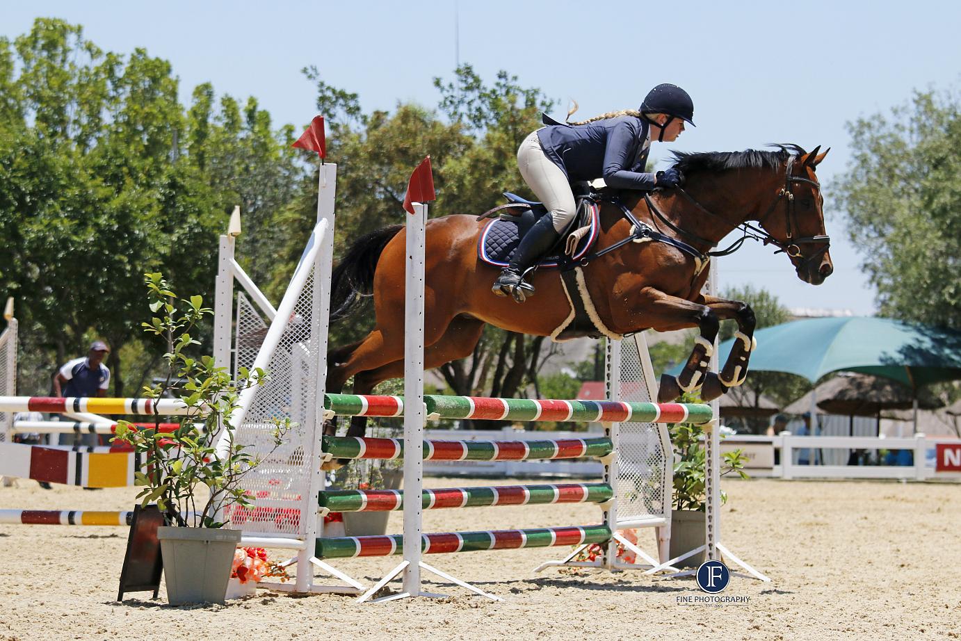 First for horses Bermuda Winter 