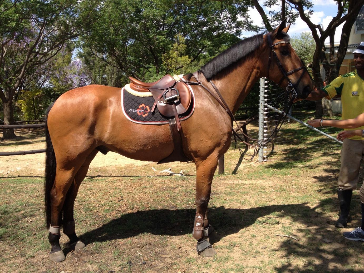 Ghandi van't Welthof