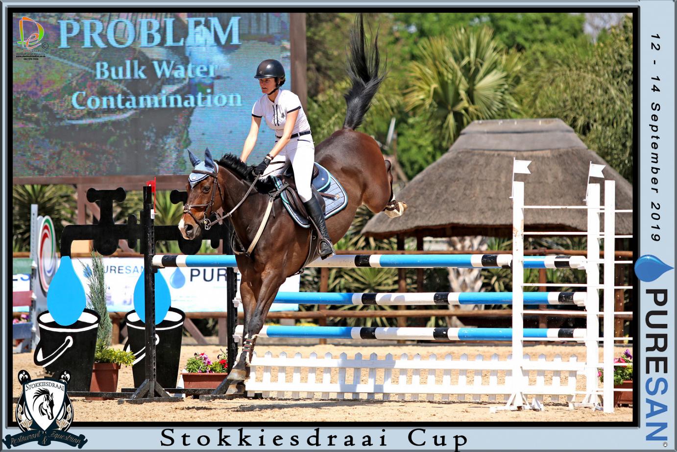 Ample Ideas Capital Contrast