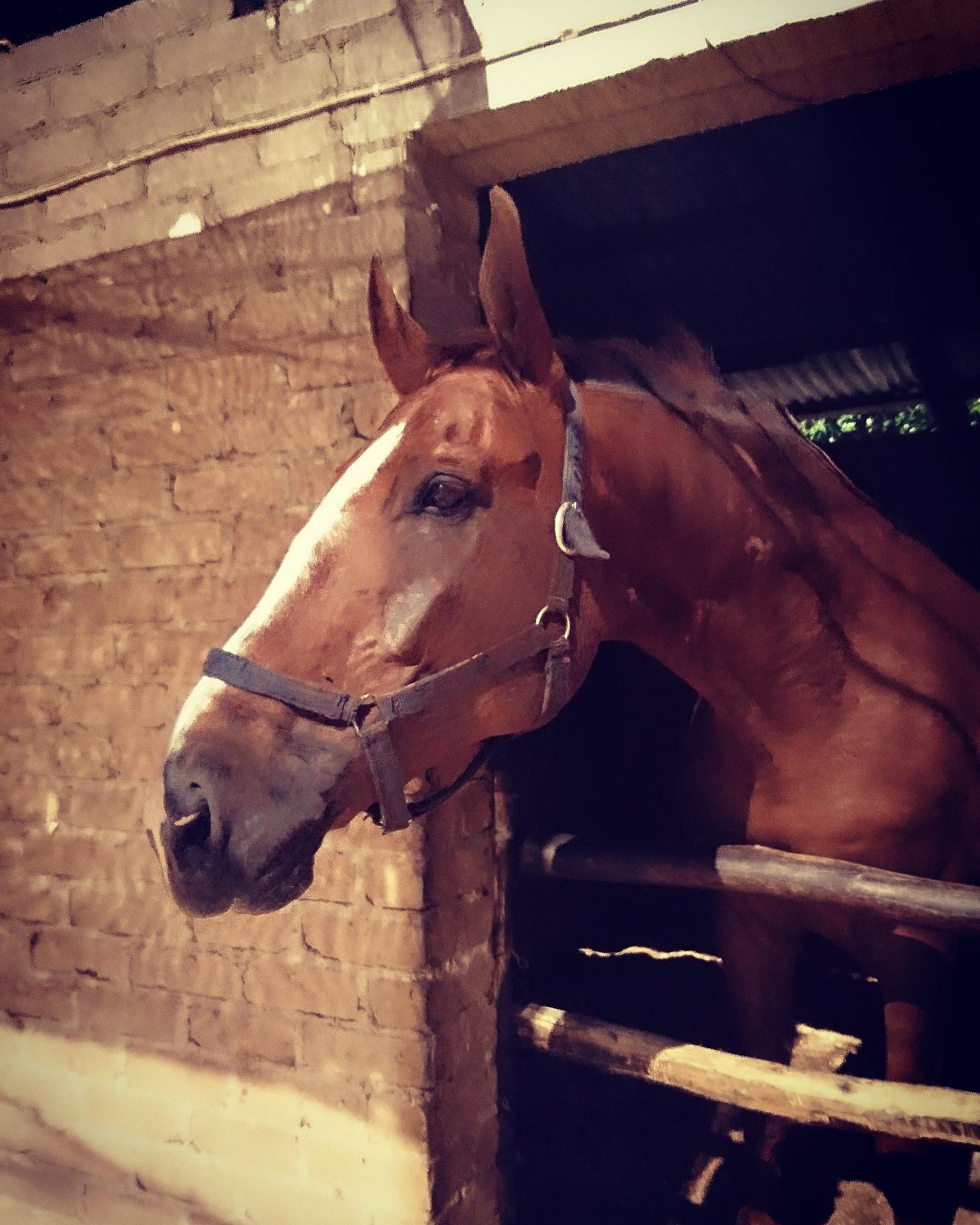 White Waters Landry’s Time