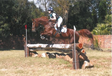 Assegai Red Hart