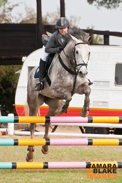 Lorelock Pretty Belinda