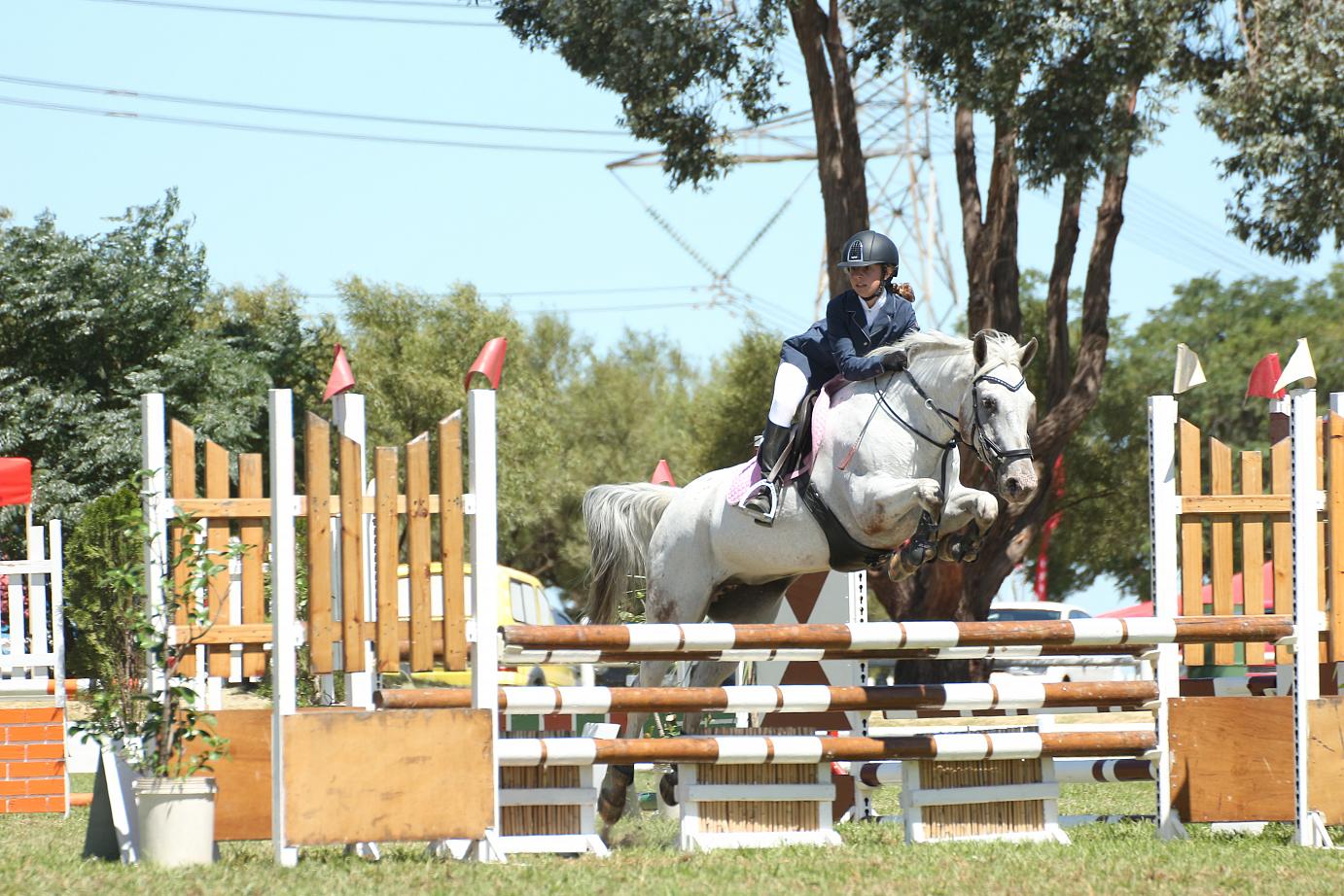 Outdoor Adventure Prairie gold dust