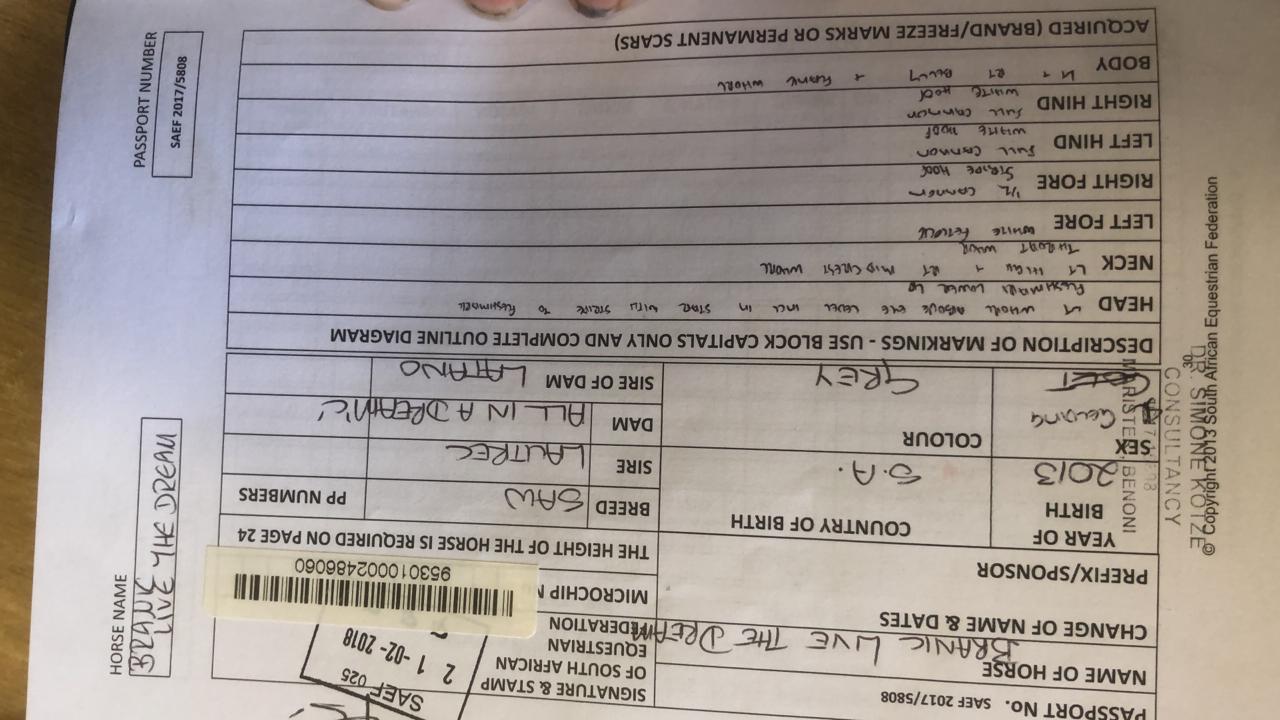 Branic Live the Dream