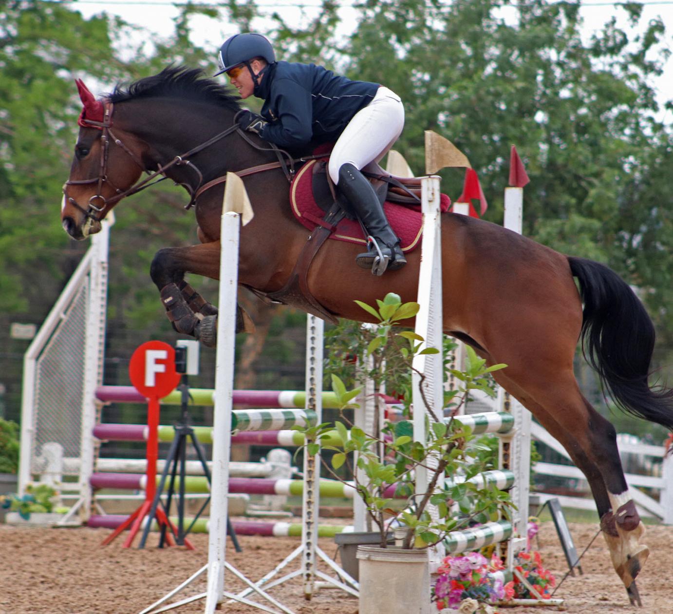 Qassini van de Blommehof