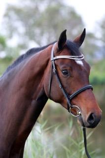 Jaroma Lady Chardonnay 
