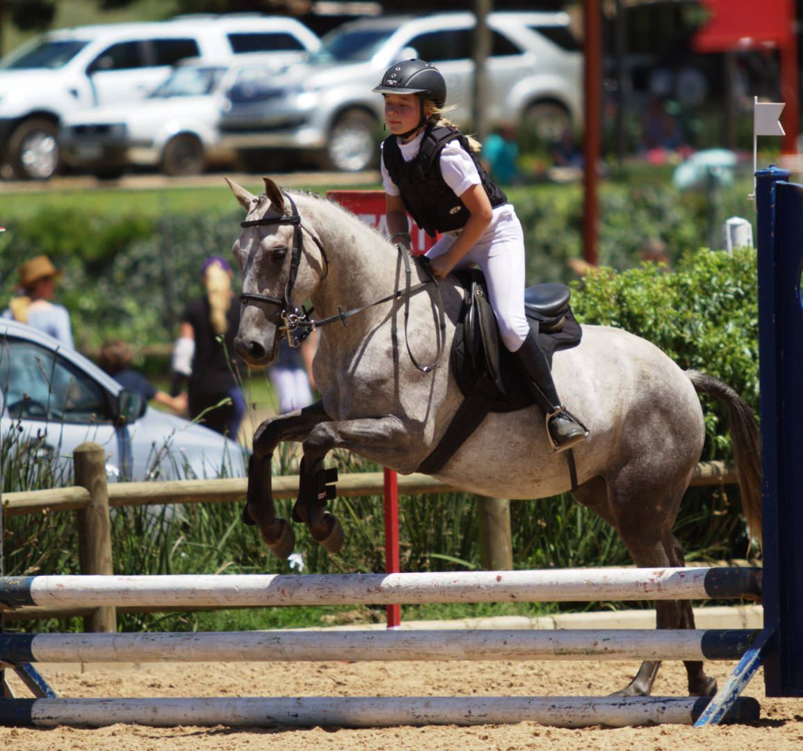 River Ridge Greystoke