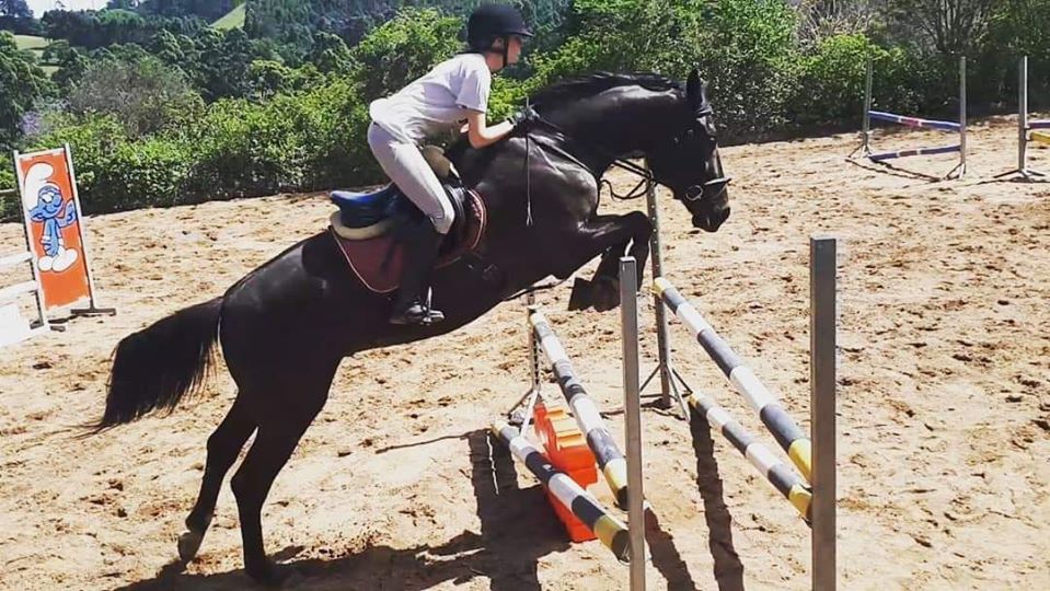 Southcross Wannabe Wallace