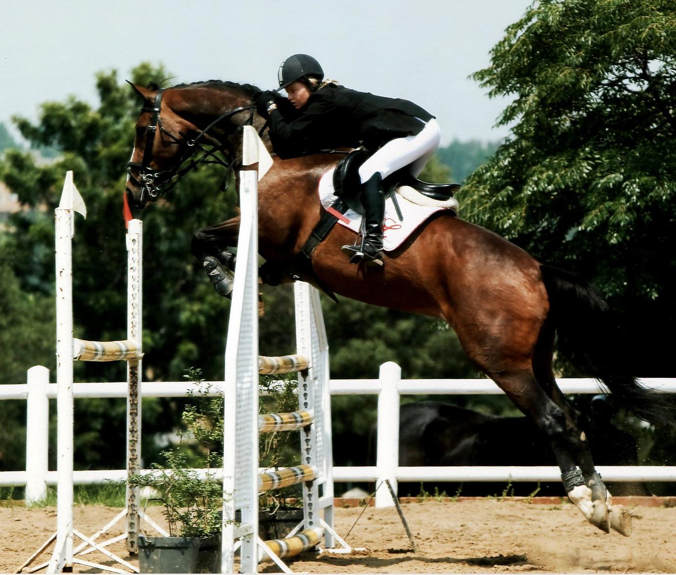 Rambleholm Czarina