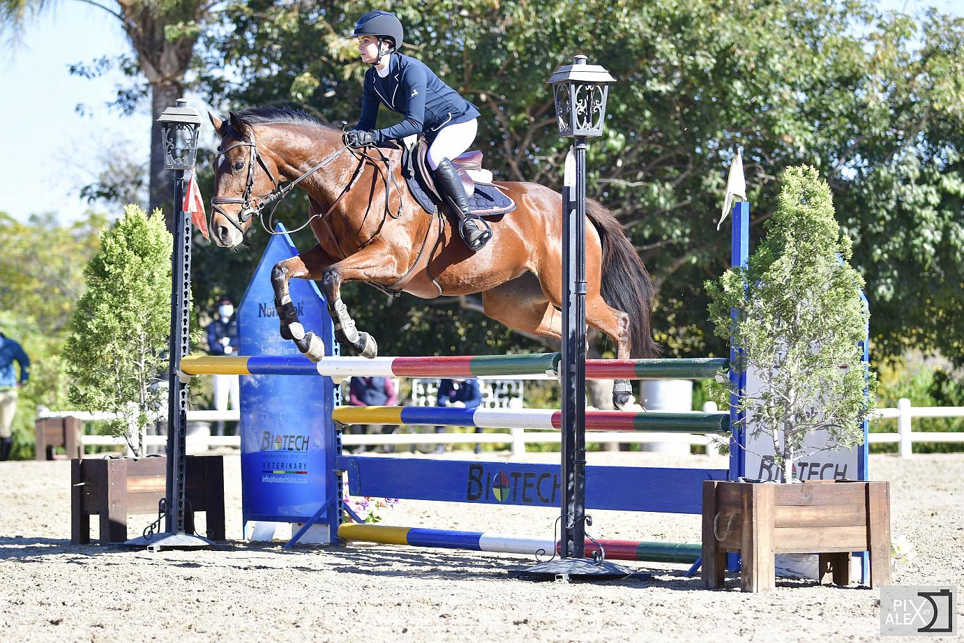 Denton Horse Boxes Limo Scene