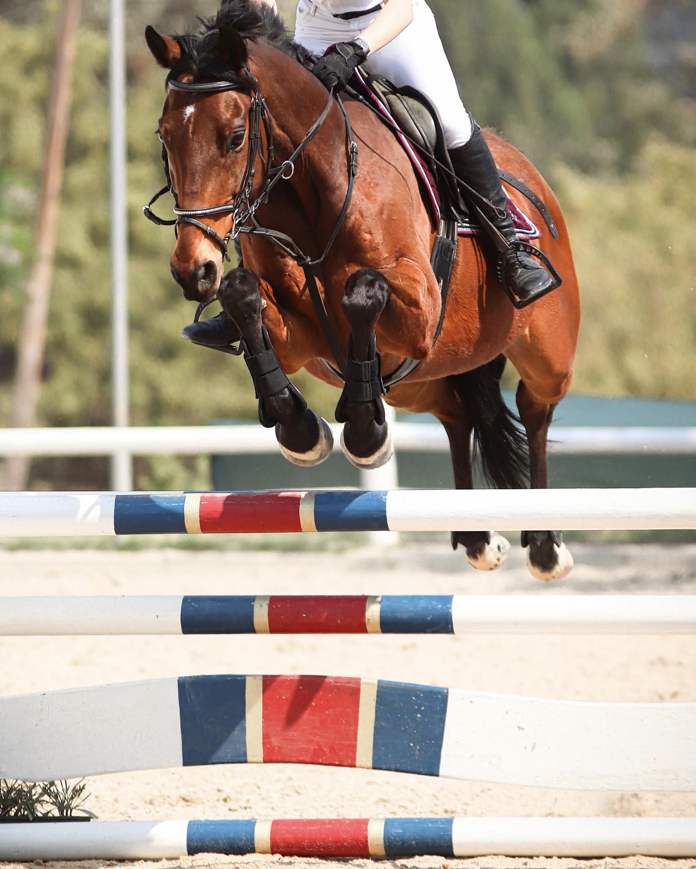 Rosefield Unparalleled 