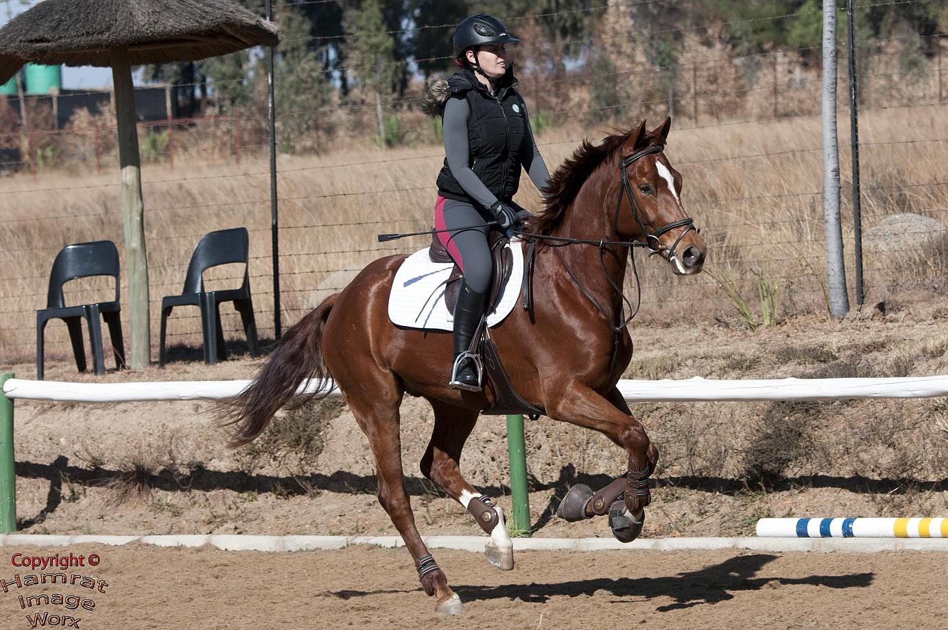 South African Show Jumping