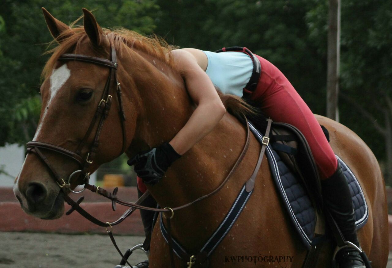Callaho Galina