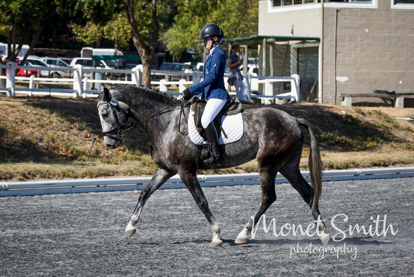 Vaderlandsche Fausto 