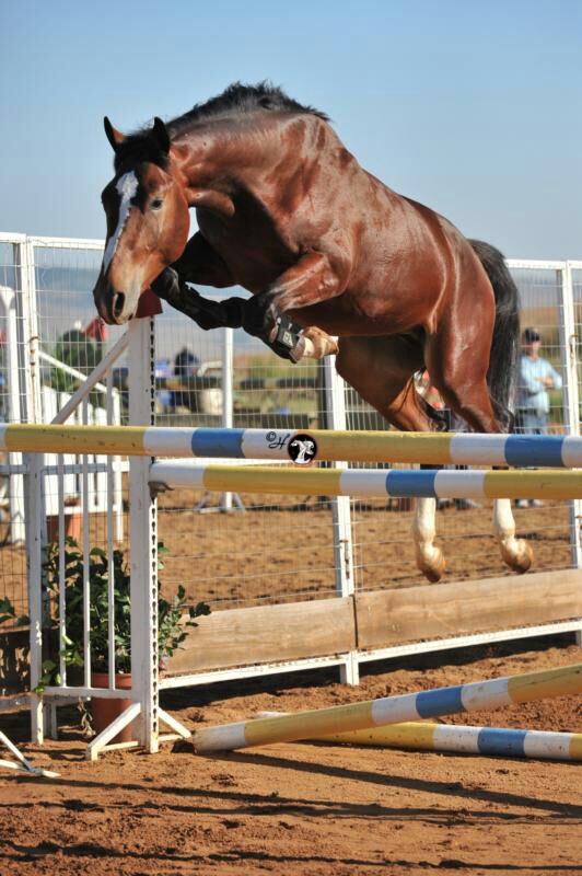 Alchemy's Helenic Pride