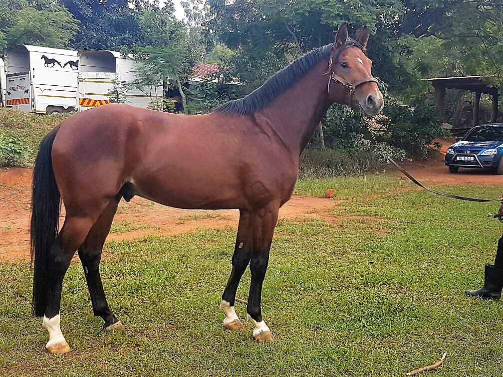 Swazi-Lizkhar Life's Gift from Lagos