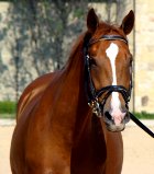 Kinvara's Fahrenheit