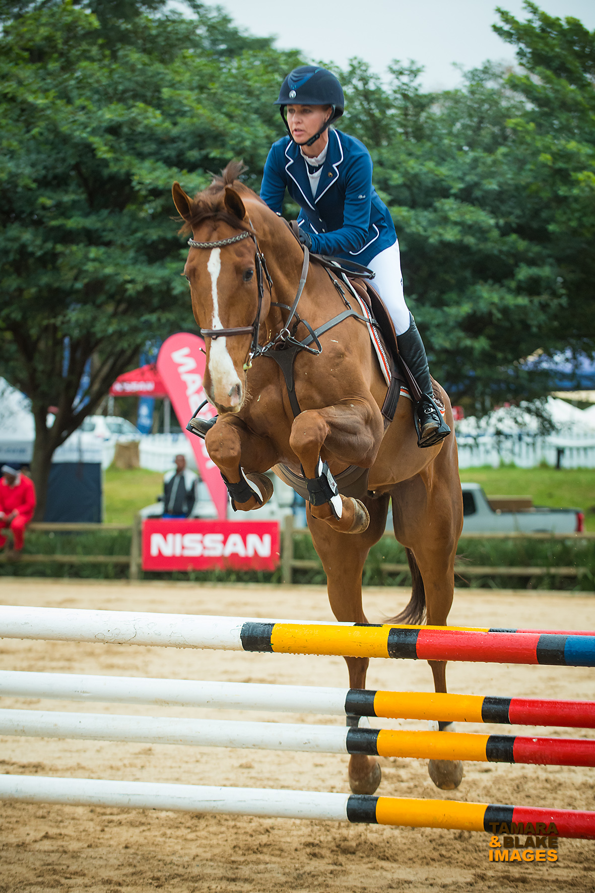 Callaho's Lord Withney