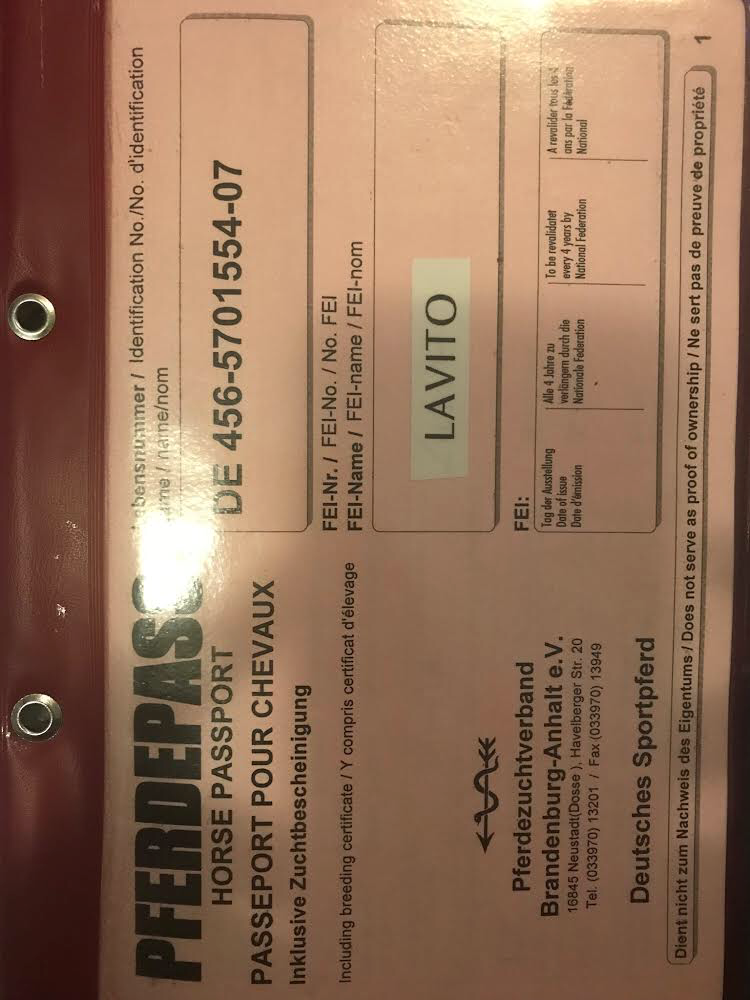Lavito 8