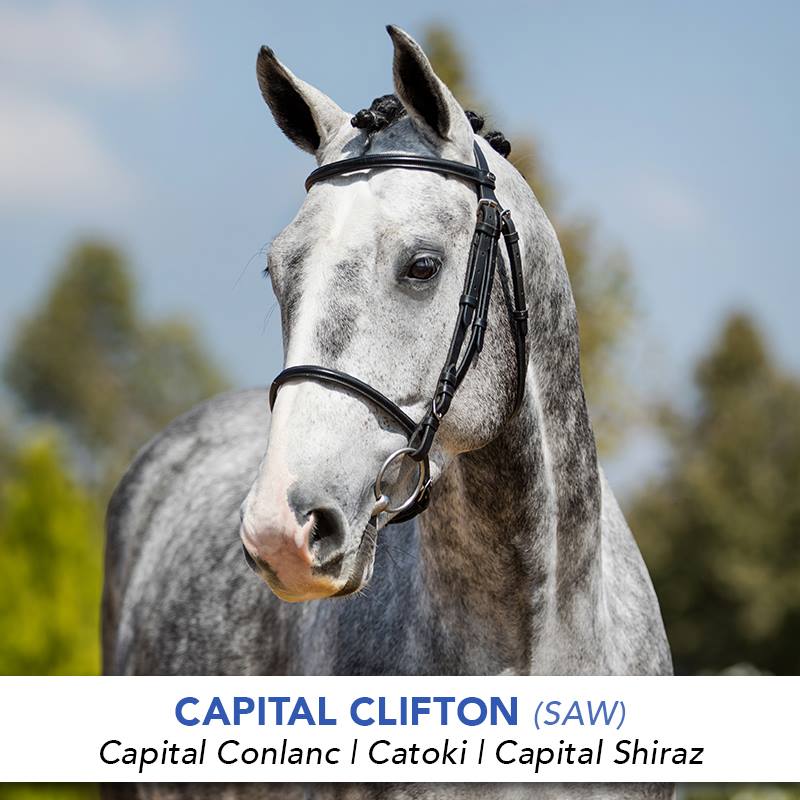 Capital Clifton